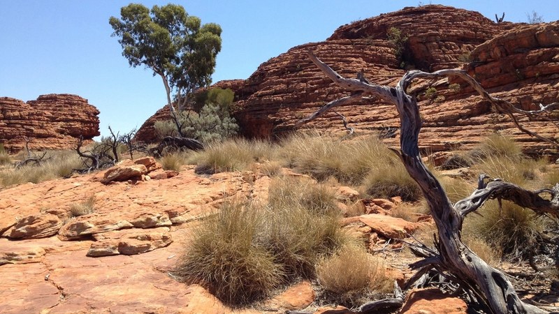 NT Tourism Operators Warn of Closures Due to Dry Season Delay and Visa Cuts NT Businesses Fear Closures Amid Dry Season Delay and Visa Cuts