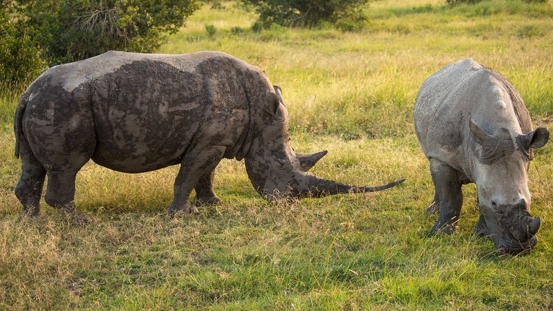 South Africa Tourism Set for Record Year in 2026 with 7.57 Million Foreign Visitors South Africa Tourism Set For Record Year in 2026