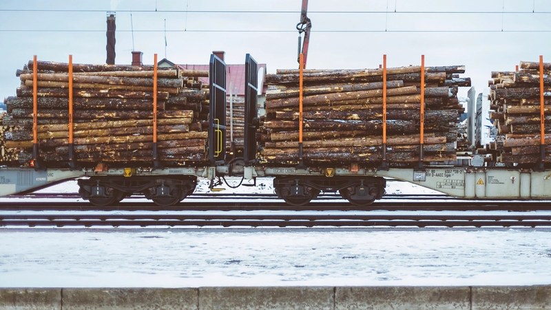 Tsingshan Zimbabwe steel unit partners with state rail to increase freight capacity Tsingshan Zimbabwe steel teams up with state rail to boost freight hauling