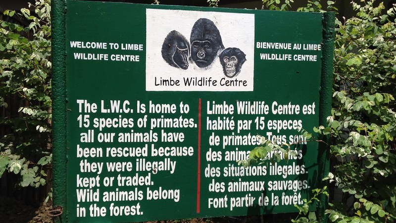 Uganda’s Gorilla Tourism Earns Shs398.8 Billion in Four Years Uganda Earns Nearly Shs398.8B from Gorilla Tourism in Four Years